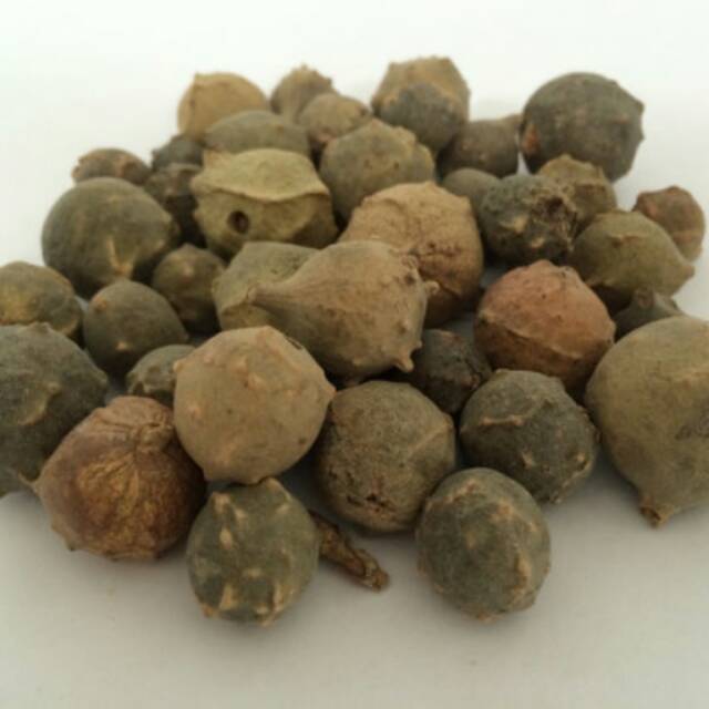 

BUAH MAJAKANI MANJAKANI ASLI 250 GRAM