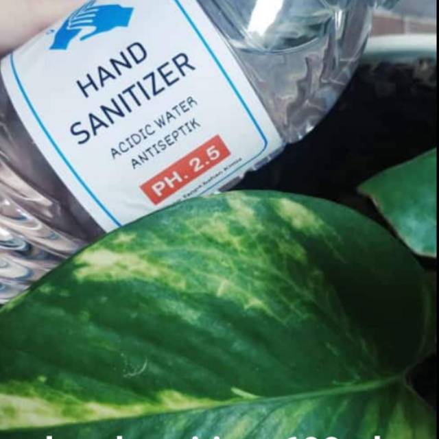 Strong acid kangen water