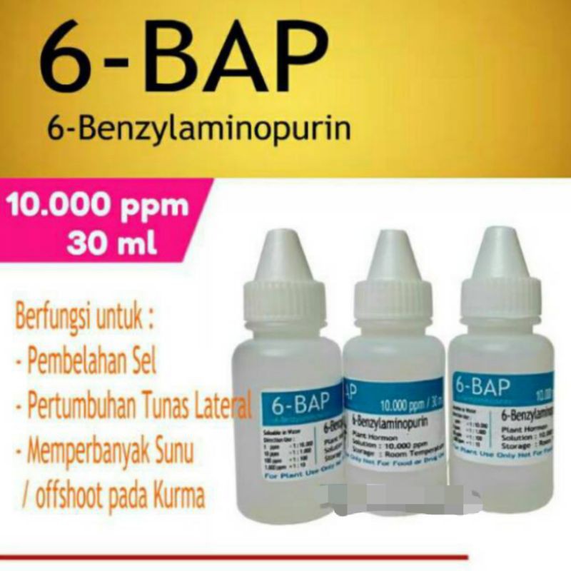 6 BAP BENZYLAMINOPURIN Perangsang Bunga Anggrek, dan Penumbuh Tunas
