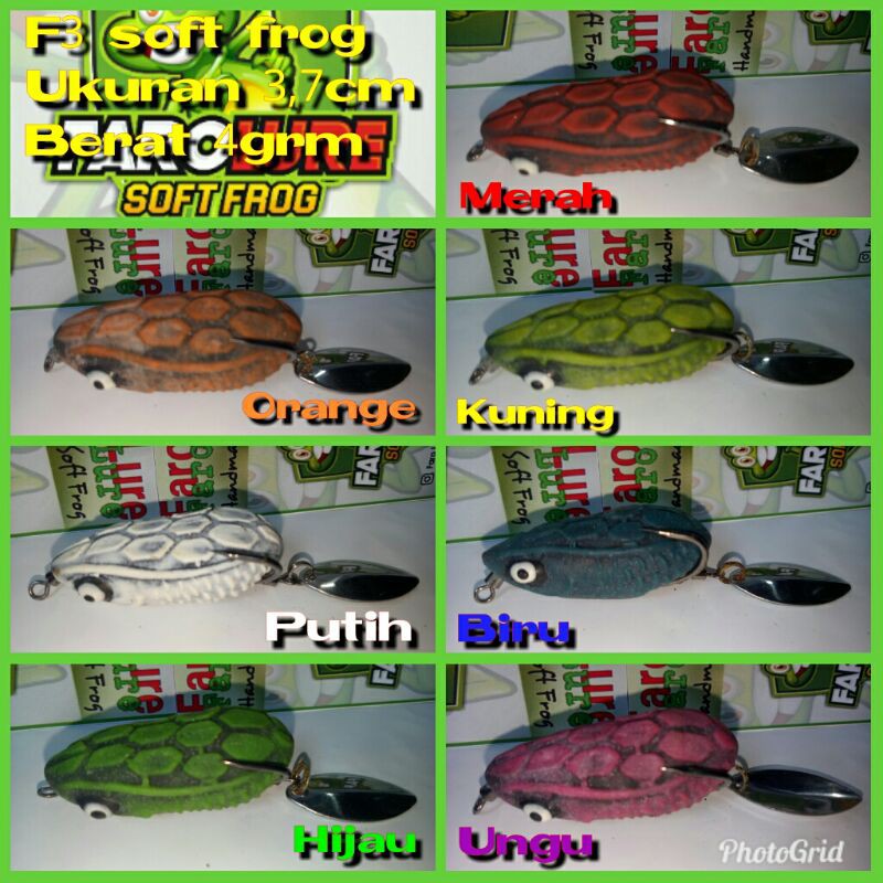 soft frog 3D F3