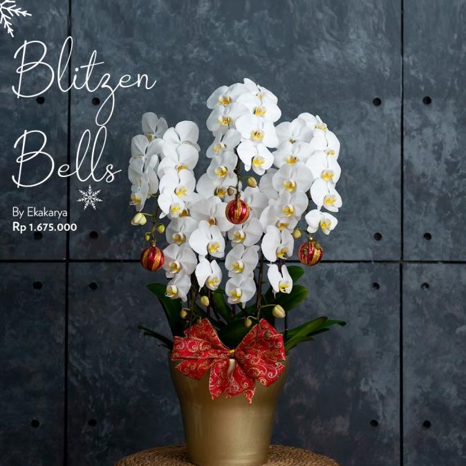 

CHRISTMAS HAMPERS EKAKARYA 'BLITZEN BELLS' BN51FV6C