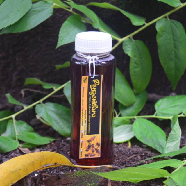 

Madu Hutan Asli Sulawesi