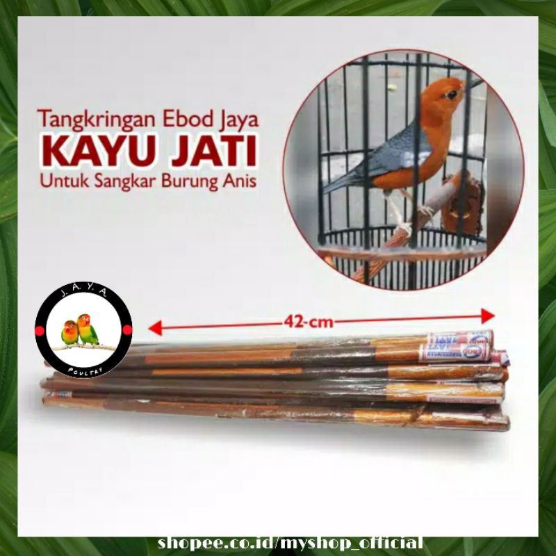 TANGKRINGAN SANGKAR BURUNG ANIS JATI EBOD JAYA