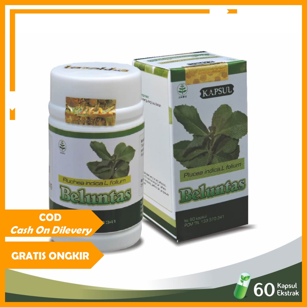 OBAT HERBAL PENGHILANG BAU MULUT, BAU BADAN - DAUN BELUNTAS | TOKO OBAT JAMU HERBALIFE