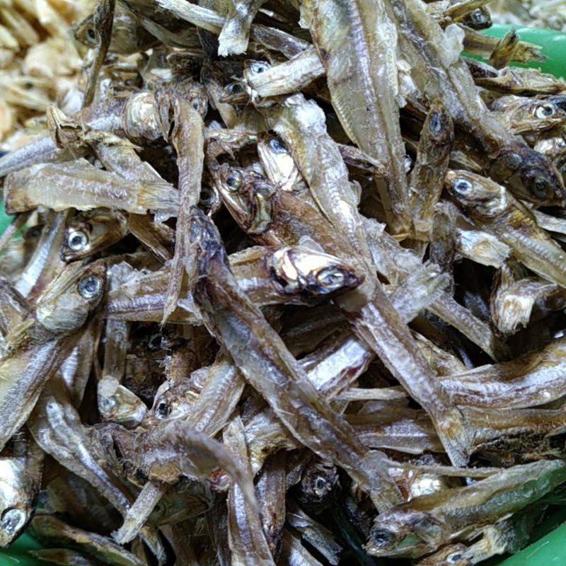 

Teri tawar sibolga