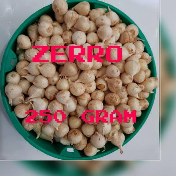 

Depan Bawang Putih Tunggal/Bawang Lanang Alami 250 GR