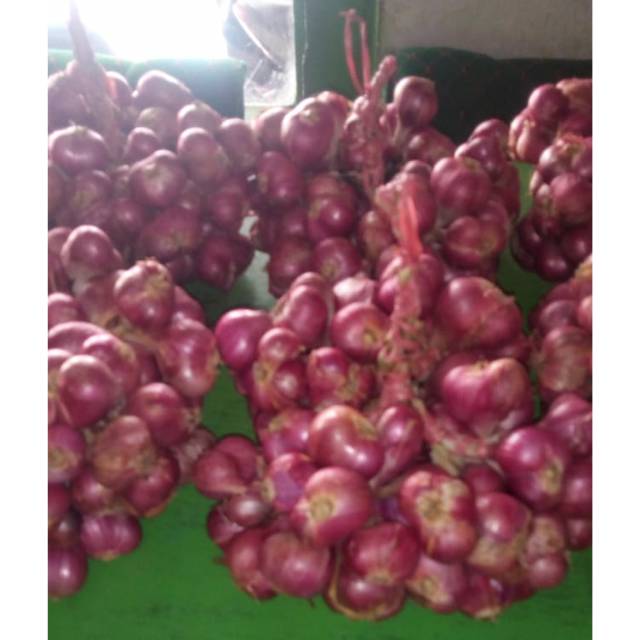 

BAWANG MERAH PROBOLINGGO 1kg