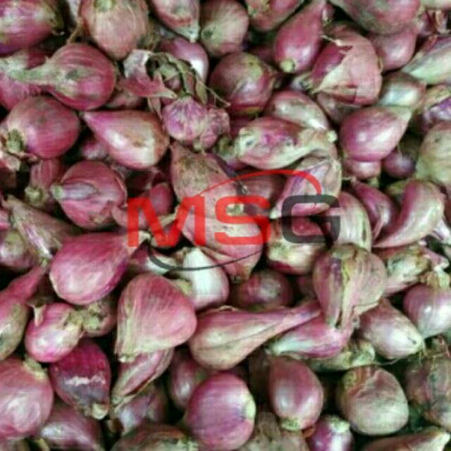 

Bawang merah utuh