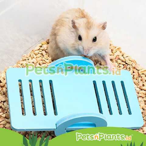 Mainan Hamster Aksesoris Kandang Kayu Ecoboard Jungkat Jungkit Seesaw