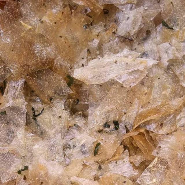 

KRIPCA (KERIPIK KACA)