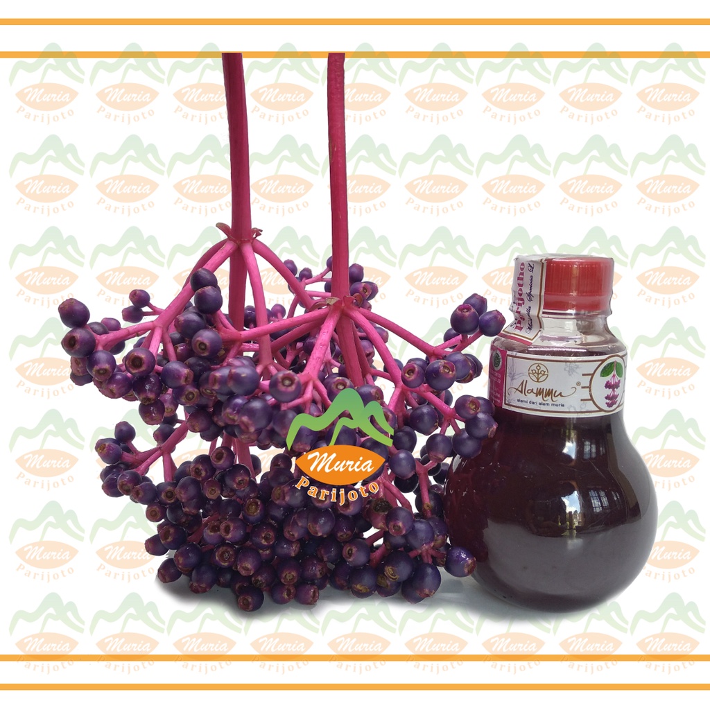 

Paket Mix Buah Dan Sirup Parijoto