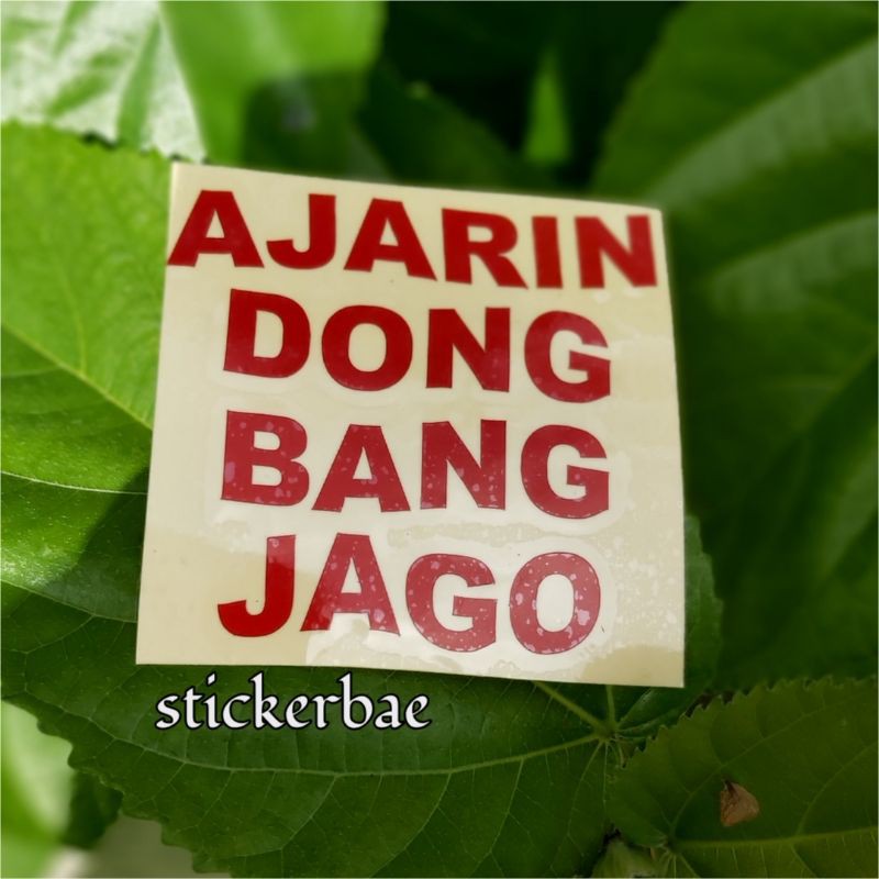 STIKER AJARIN DONG BANG JAGO STICKER HARTA TAHTA  CUTTING CUSTOM