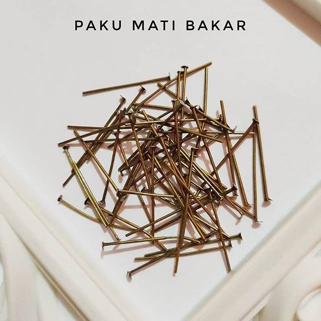 Paku mati bakar