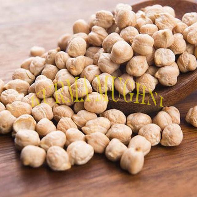 

Kacang Arab 0.5 kg / Garbanzo / Chickpeas / Oleh Oleh Haji dan Umroh