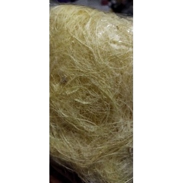 SARANG BURUNG SERAT NANAS/SERAT NANAS/SARANG NANAS