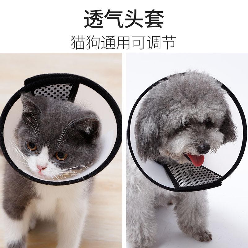 PH.Medan Pelindung Leher/ Pet Collar Corong ANJING/KUCING |pet colar