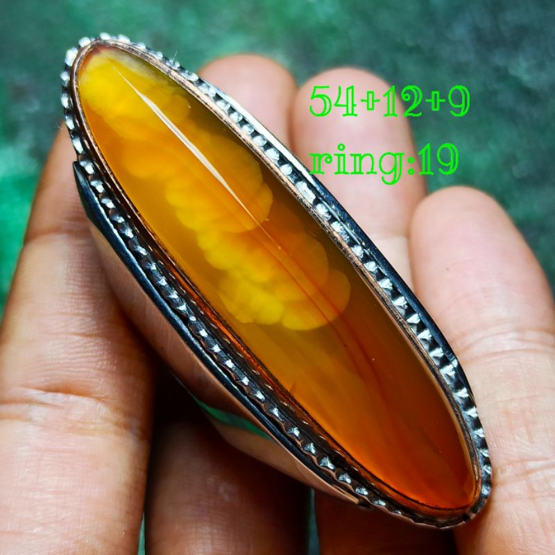 PANDAN NANAS RUDAL KERISTAL