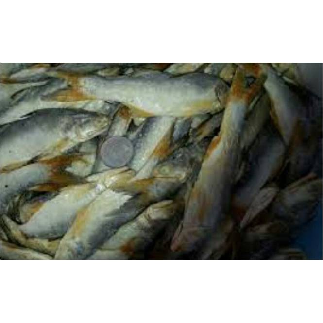 

Ikan Asin Senangin ( @ 500 Gr )