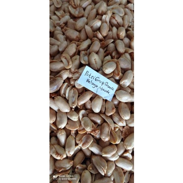 

KACANG BAWANG / KACANG SUPER / KACANG ASHOKA/BERAT 250GR,500GR,DAN 1KILO/ANEKA SNACK TERMURAH