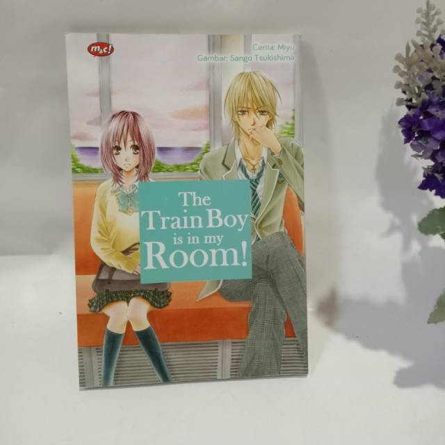 The train boy is in my room