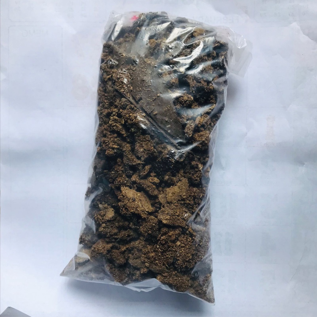 KOHE BURUNG PUYUH KERING 500GR/KOTORAN BURUNG PUYUH/KULTUR KUTIR CUPANG/ KOHE UNTUK KULTUR KUTIR HAR