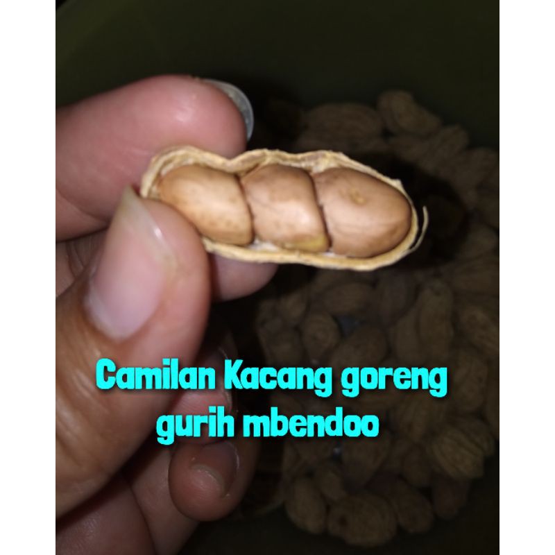 

Camilan kacang goreng gurieh mbendooo 500gr
