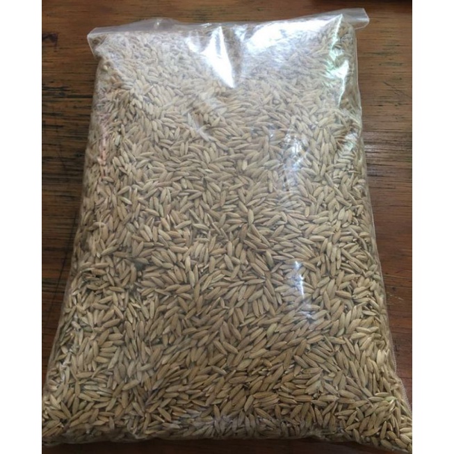 gabah merah pakan ayam 1kg / pakan burung gabah beras merah