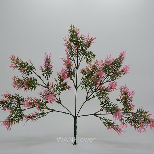 WANFLOWER Daun Seledri Bedak X5 * PINK