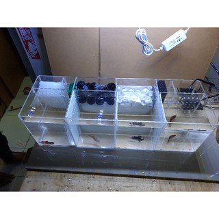 aquarium soliter cupang dengan filterisasi | shopee indonesia