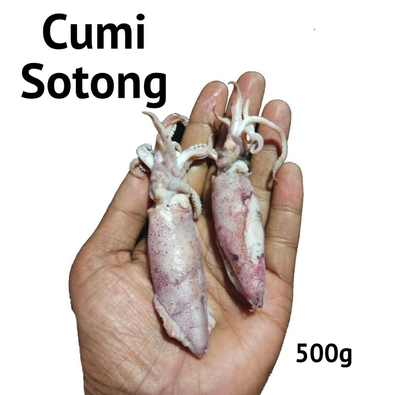 

ikan asin cumi sotong 500gram