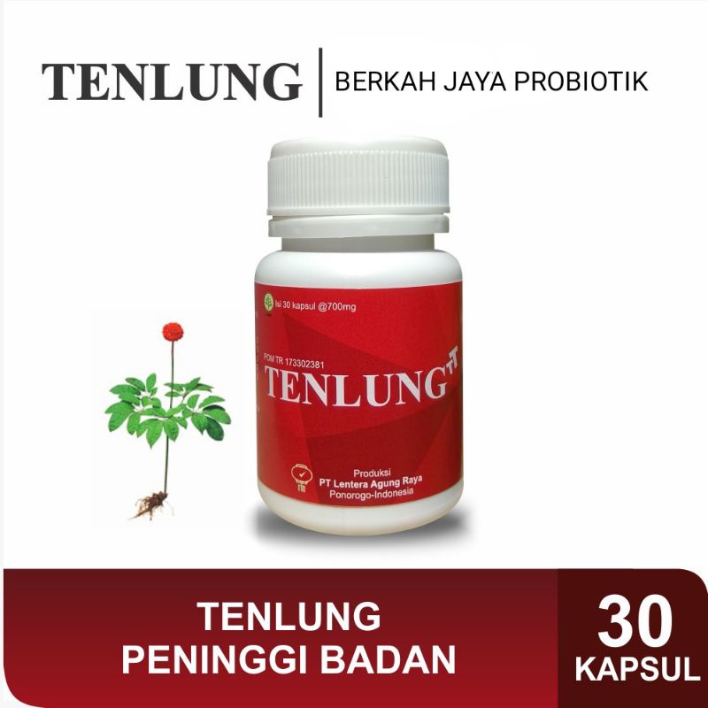 PENINGGI BADAN HERBAL 100% TENLUNG 30 KAPSUL