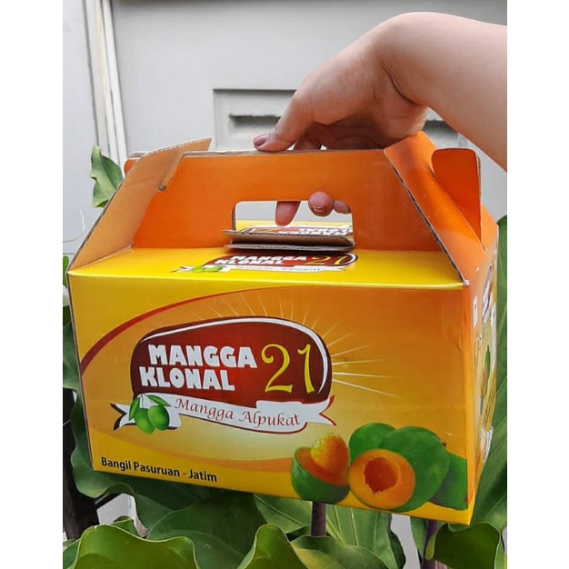 Jual Mangga Alpukat Packing Kg Shopee Indonesia