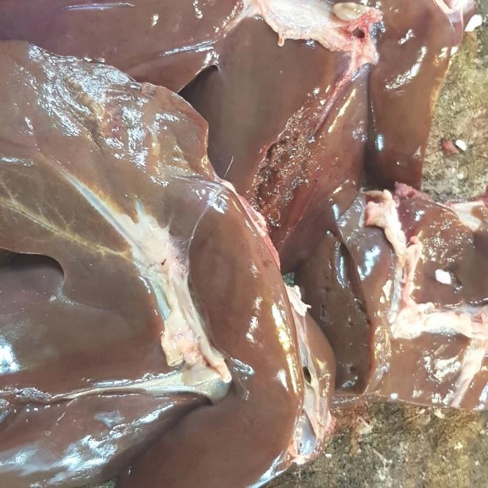 

Meat | Hati Kambing Fresh