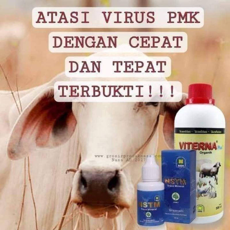 OBAT SAPI ( PMK) PAKET NSTM VITERNA /Vitamin Ternak