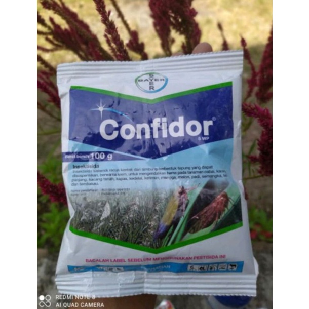Confidor 5 WP 100 gram