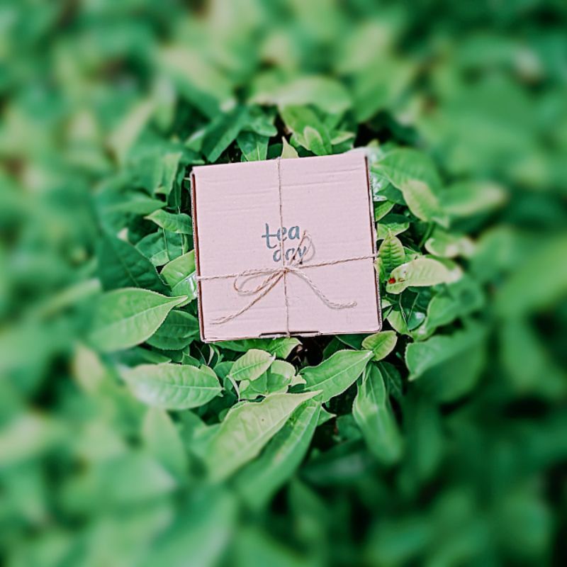 

TEA DAY MINUMAN TEH BUNGA FLOWER FLOWER TEA, GREEN TEA,DRIED FRUIT KOMBINASI BOX