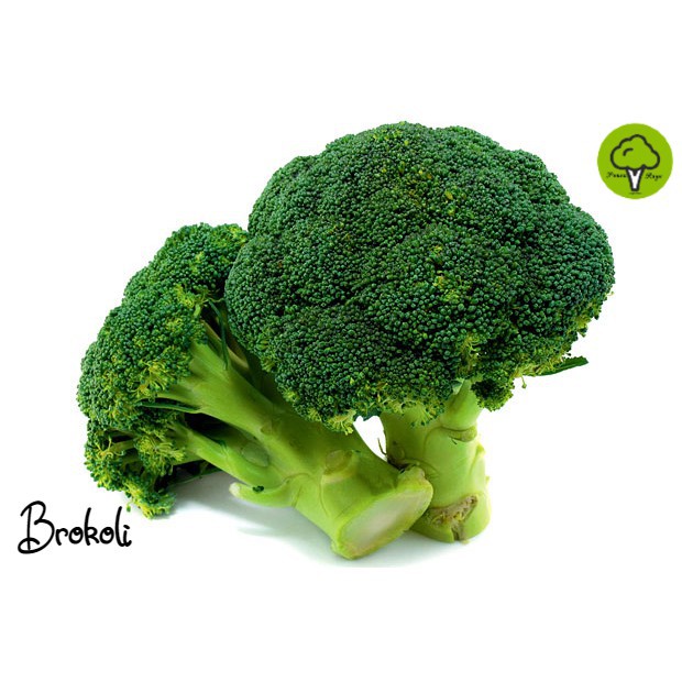 

BROKOLI SEGAR