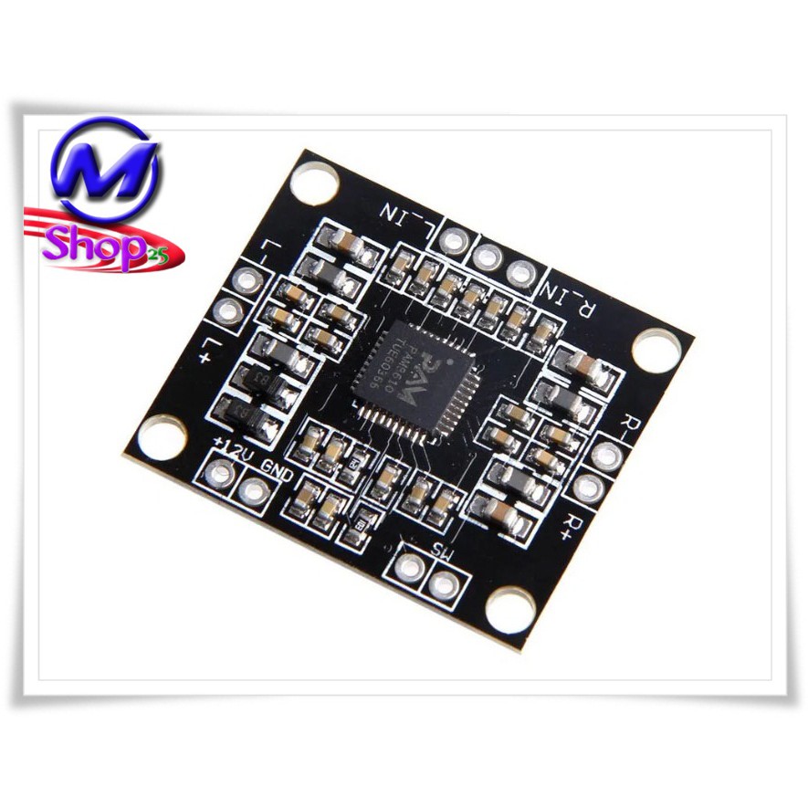 Amplifier Rakitan PAM 8610 Class D 30 Watt Stereo | Modul