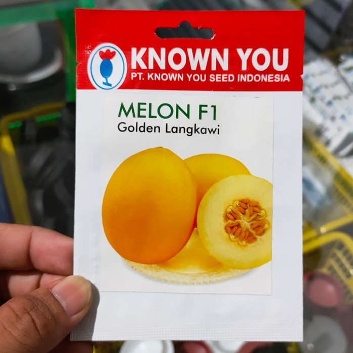 KYS - benih MELON GOLDEN LANGKAWI isi 5 biji - benih melon kuning - benih melon langkawi - known you seed