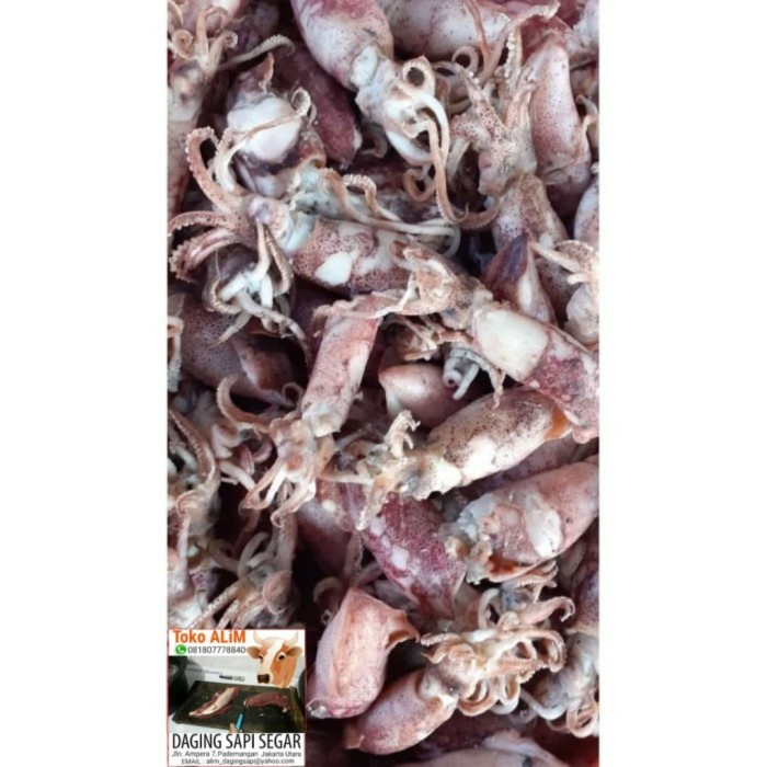 

CUMI KERING CUMI ASIN JARUM 1/2 KG - SUNDRY SMALL SQUID SALTY