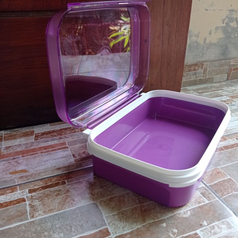 Signature Rectangular #1