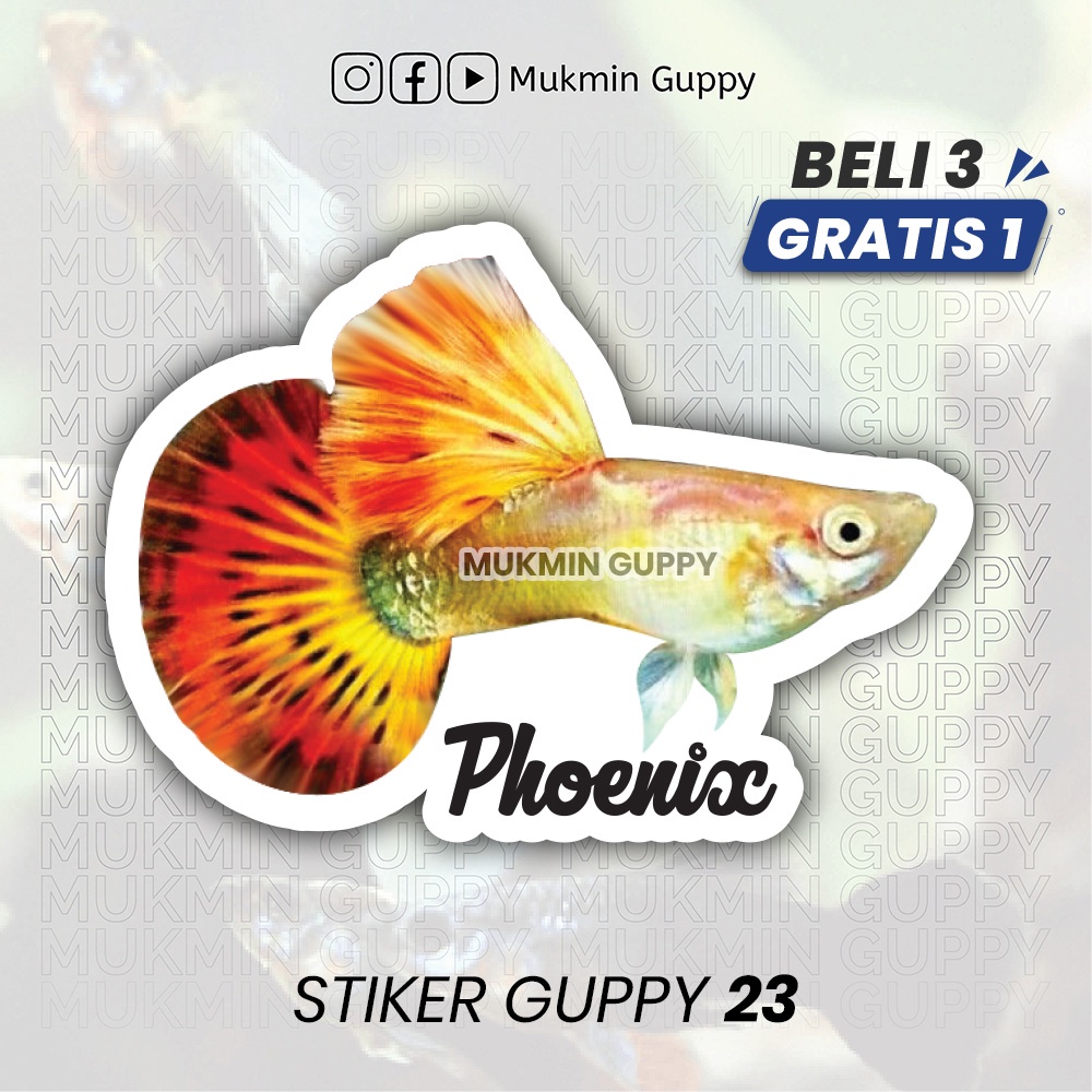 

Stiker Guppy (23) Phoenix