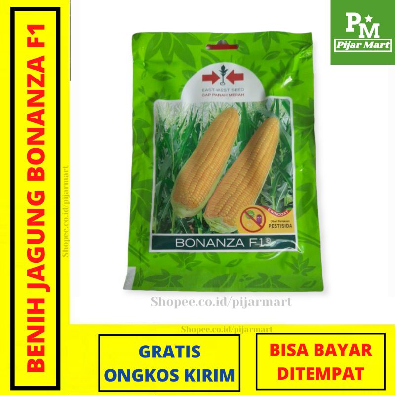 Benih Bibit Unggul Jagung Manis BONANZA F1 (Cap Panah Merah)
