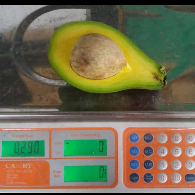 

Lentera fresh fruitz lokal indonesia