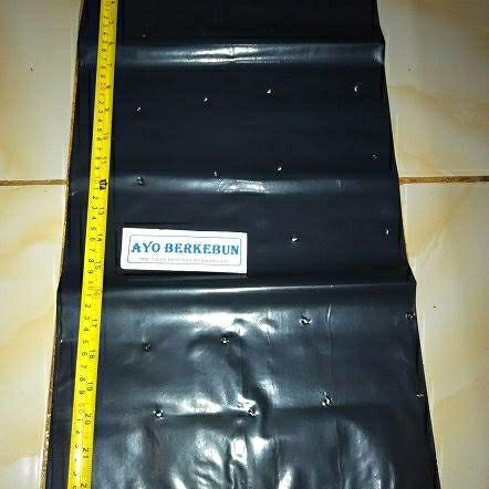 Polybag 60x60 cm (1Kg)