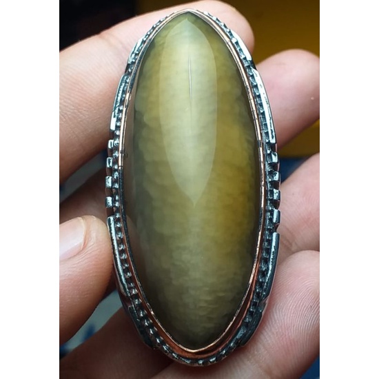 pandan lumut sisik betik