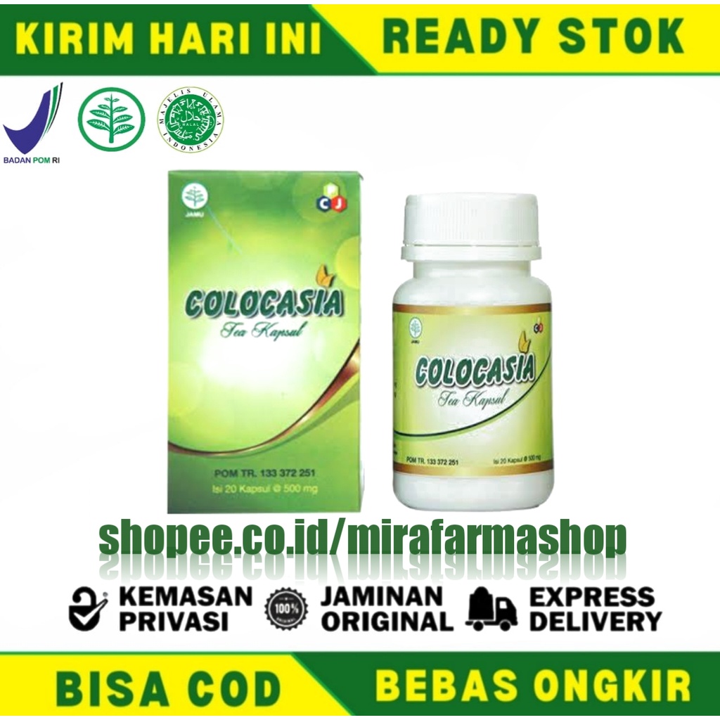 Colocasia Original ® Colocasia Asli BPOM Obat Herbal Penambah Cairan Lutut Dan Tulang - Artropant - 