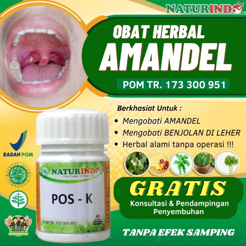 obat amandel herbal ampuh  tanpa operasi