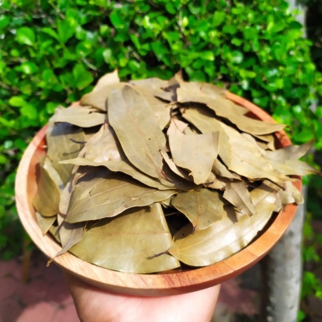 

Daun Kayu Manis Kering Kualitas Super Bagus 500g