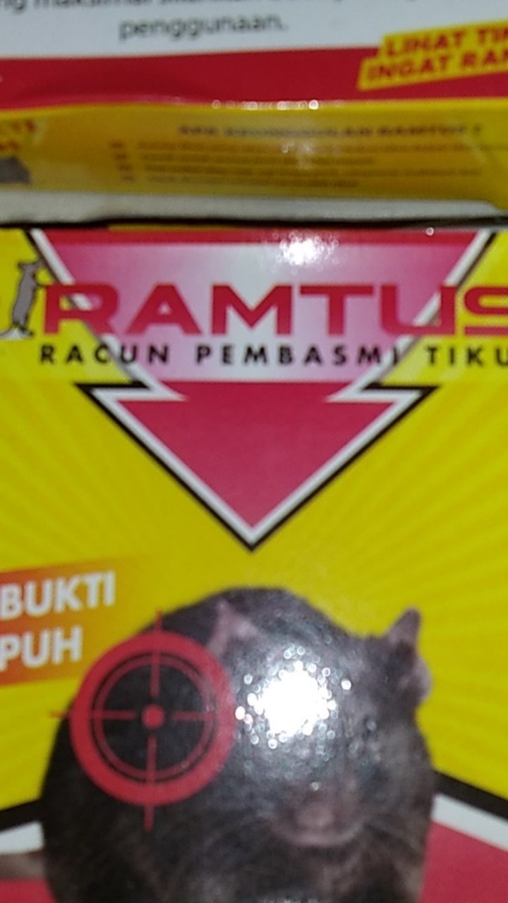 Ramtus Racun Tikus Ampuh Mati Kering Tidak Bau Pembasmi Curut Wirog Mencit Dirumah Di Mobil 5 Pack